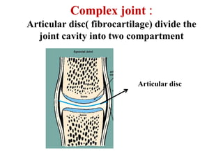 Complex Joint Example Joint simple description with radiology | PPTX