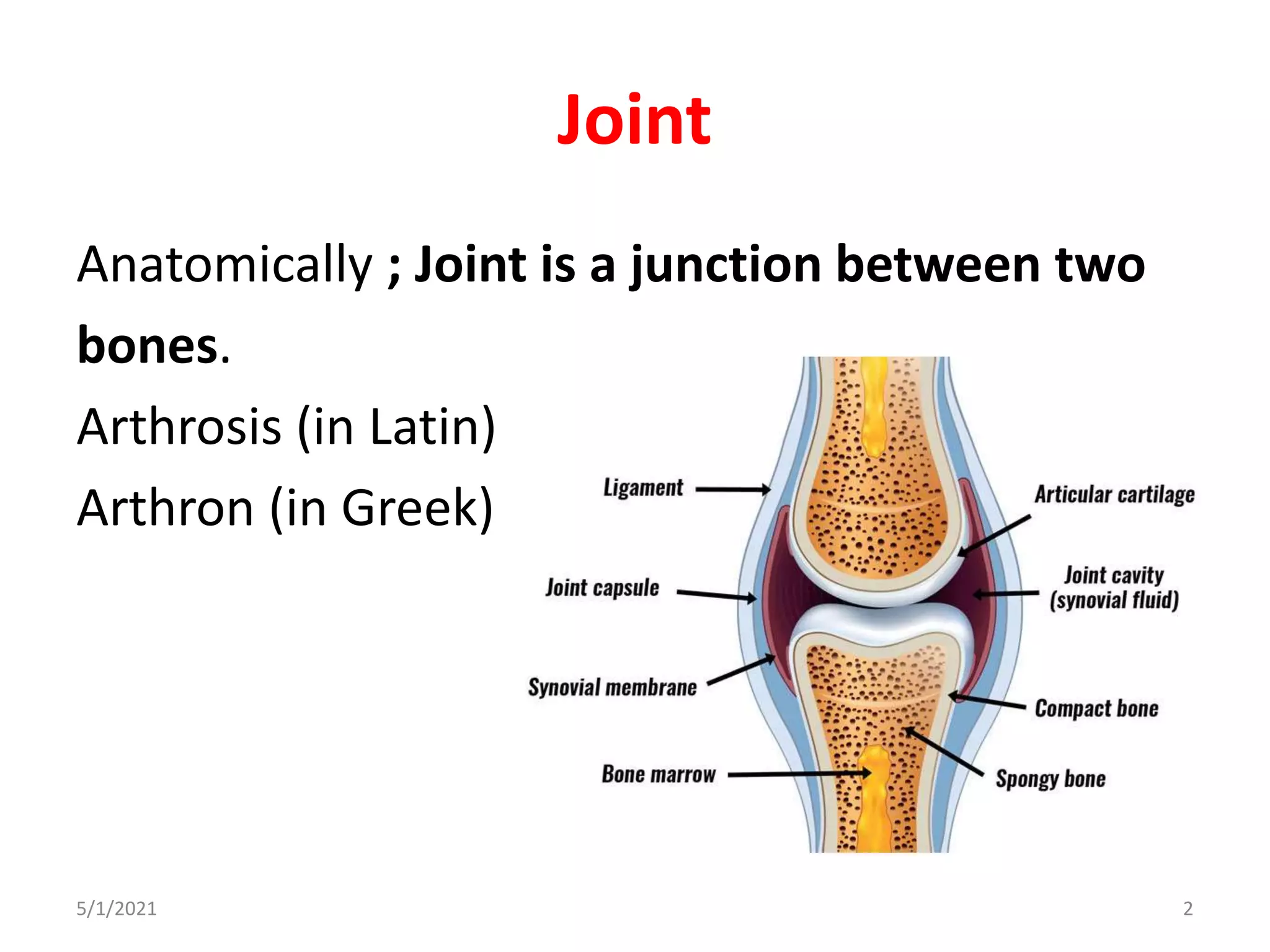 Joint
Anatomically ; Joint is a junction between two
bones.
Arthrosis (in Latin)
Arthron (in Greek)
5/1/2021 2
 