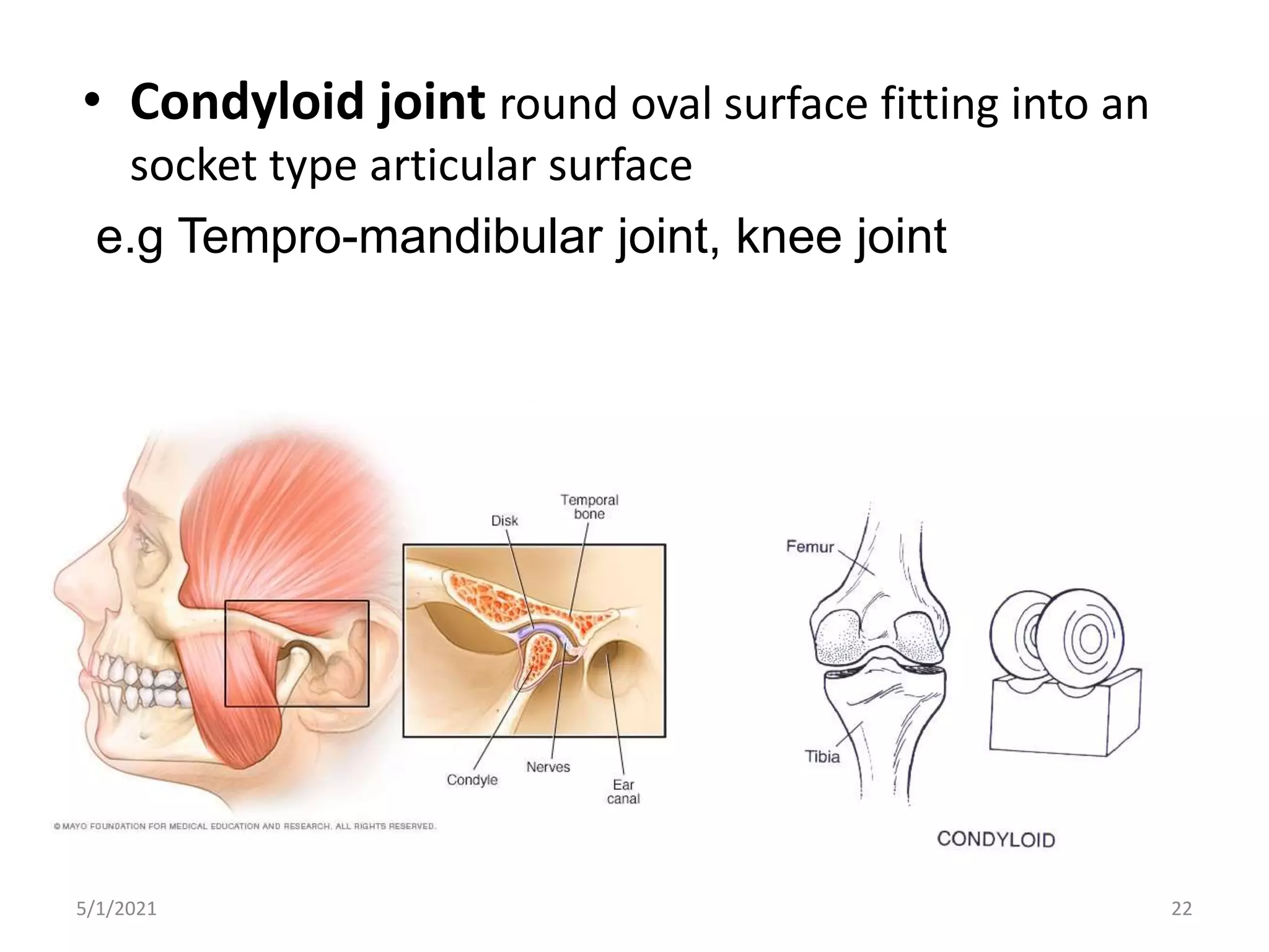 • Condyloid joint round oval surface fitting into an
socket type articular surface
e.g Tempro-mandibular joint, knee joint
5/1/2021 22
 