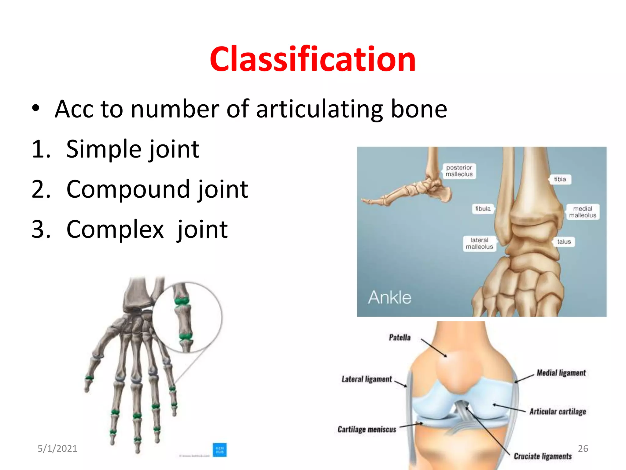 Classification
• Acc to number of articulating bone
1. Simple joint
2. Compound joint
3. Complex joint
5/1/2021 26
 