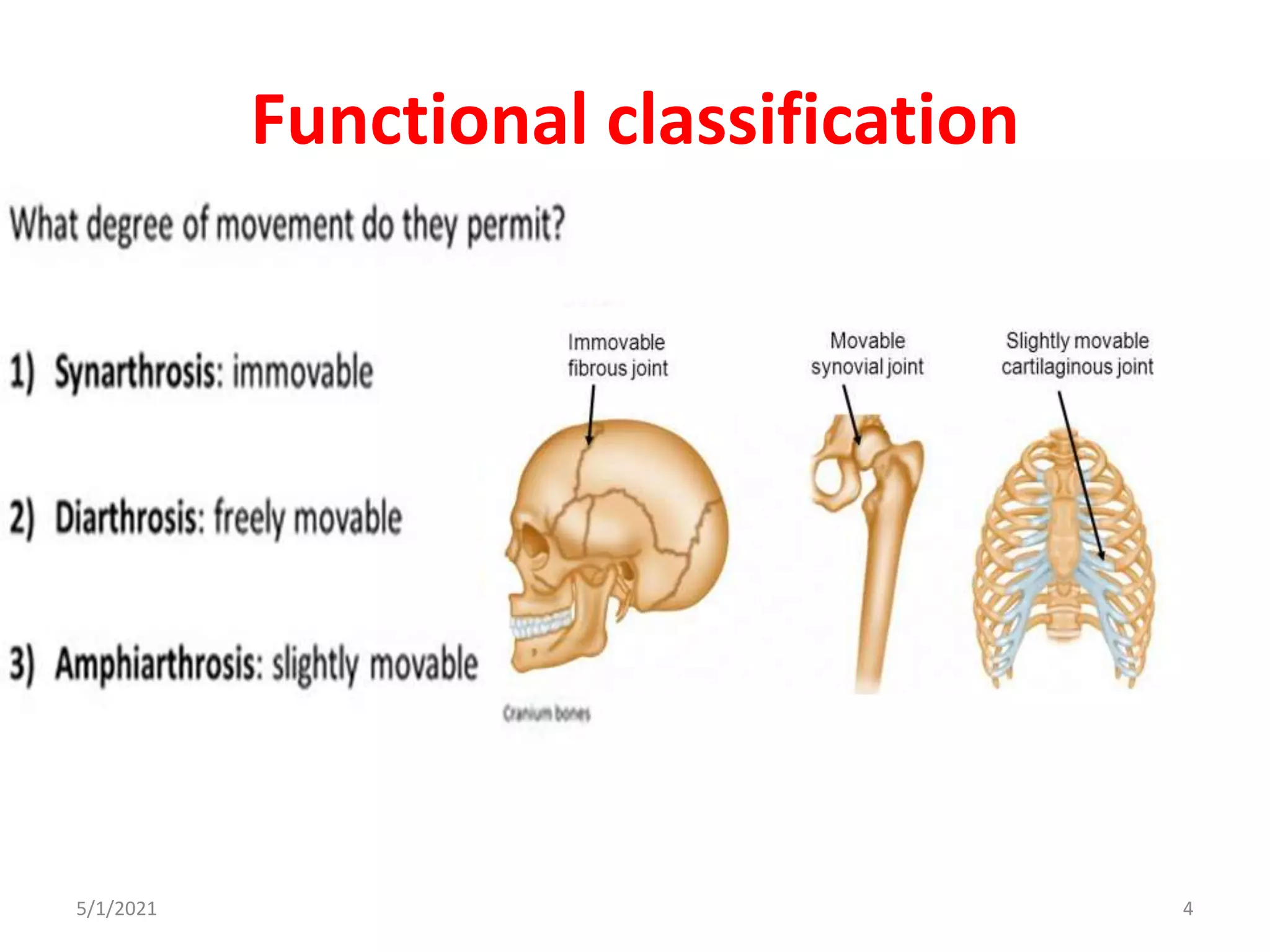 Functional classification
5/1/2021 4
 