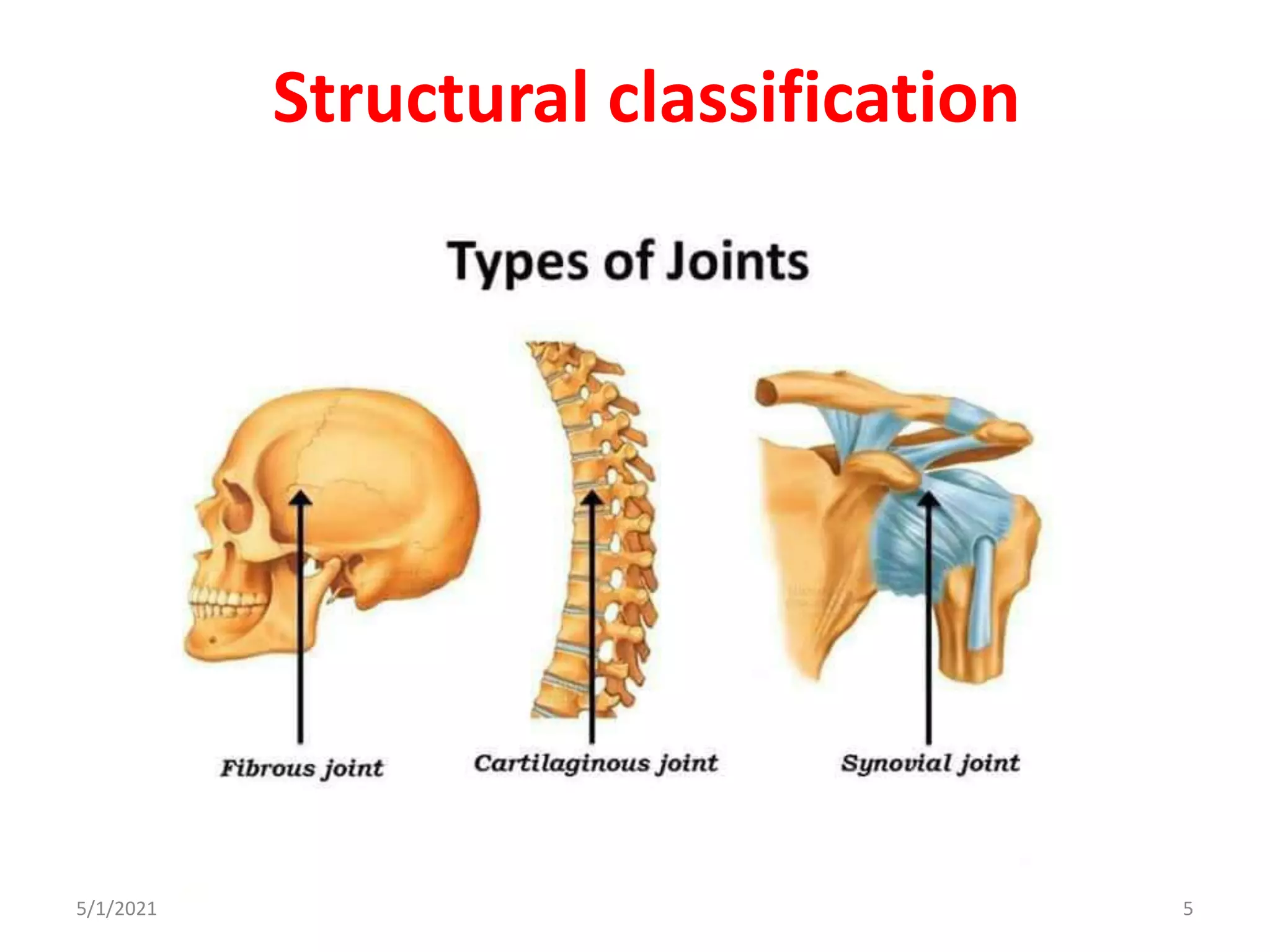 Structural classification
5/1/2021 5
 
