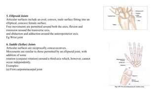 5. Ellipsoid Joints
Articular surfaces include an oval, convex, male surface fitting into an
elliptical, concave female surface.
Free movements are permitted around both the axes, flexion and
extension around the transverse axis,
and abduction and adduction around the anteroposterior axis.
Eg Wrist joint
6. Saddle (Sellar) Joints
Articular surfaces are reciprocally concavoconvex.
Movements are similar to those permitted by an ellipsoid joint, with
addition of some
rotation (conjunct rotation) around a third axis which, however, cannot
occur independently.
Examples:
(a) First carpometacarpal joint
 