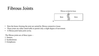 Fibrous Joints
• Here the bones forming the joint are united by fibrous connective tissue.
• These joints are either immovable or permit only a slight degree of movement.
• A fibrous joint lacks joint cavity.
The fibrous joints are of three types—
1. Sutures,
2. Syndesmoses
3. Gomphoses.
 