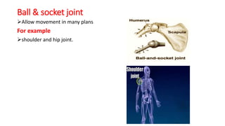 Joints, function and types of joints.pptx
