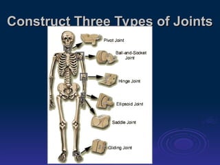 Basic level joints with positions and structures | PPT