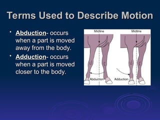 Basic level joints with positions and structures | PPT