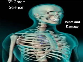 6th Grade Science Joints and Damage 