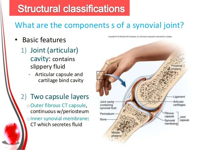 Which Of The Following Refers To Fixation Of A Joint Joints