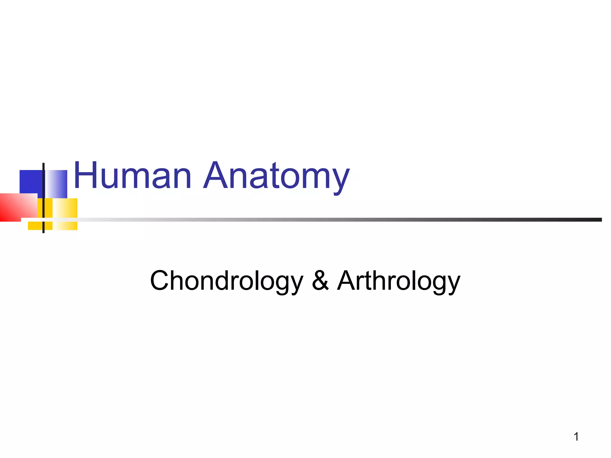 1
Human Anatomy
Chondrology & Arthrology
 