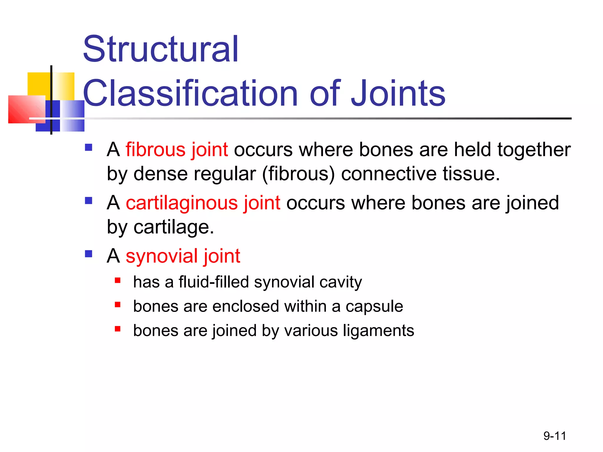 9-11
Structural
Classification of Joints
 A fibrous joint occurs where bones are held together
by dense regular (fibrous) connective tissue.
 A cartilaginous joint occurs where bones are joined
by cartilage.
 A synovial joint
 has a fluid-filled synovial cavity
 bones are enclosed within a capsule
 bones are joined by various ligaments
 