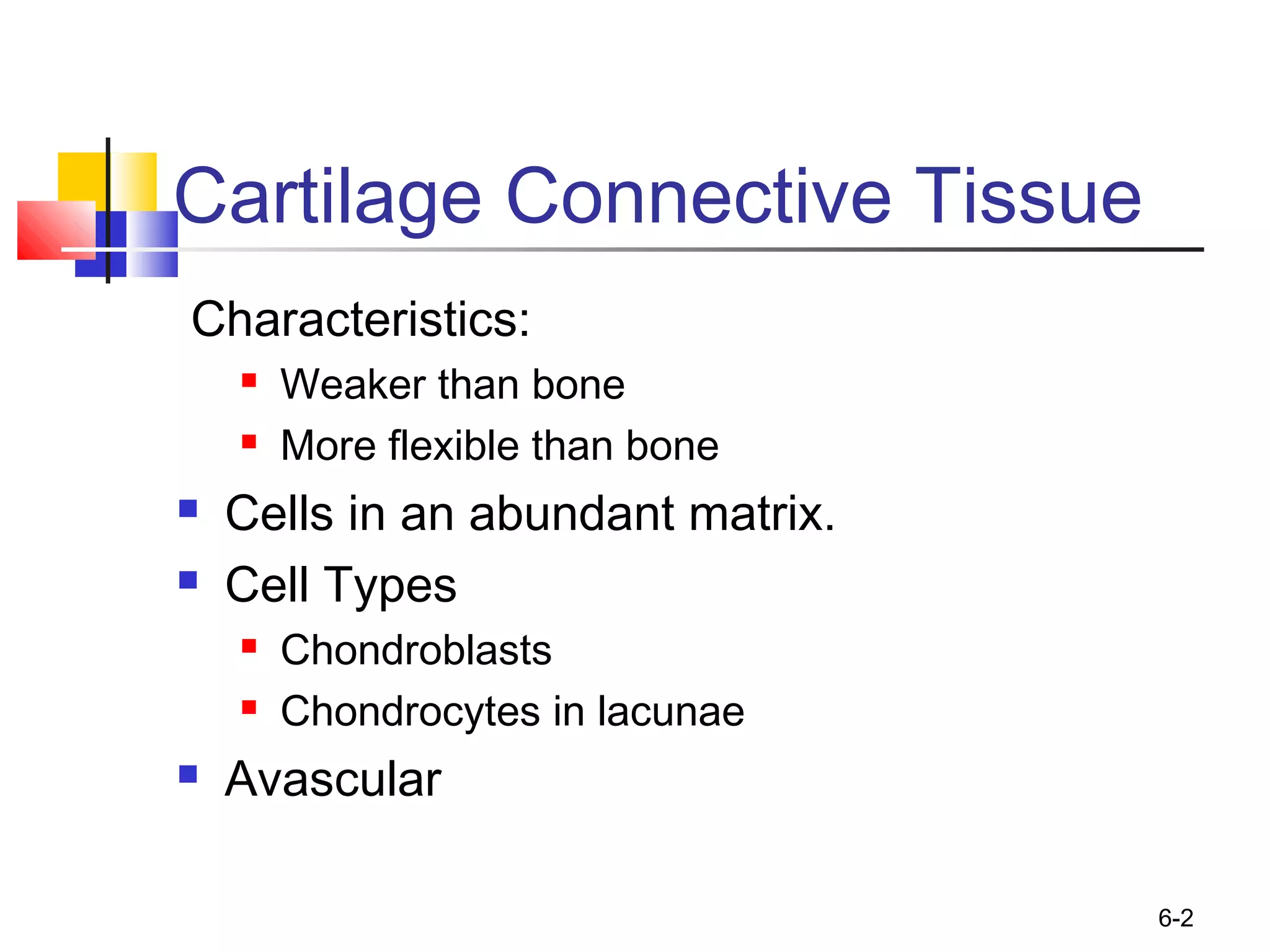 6-2
Cartilage Connective Tissue
Characteristics:
 Weaker than bone
 More flexible than bone
 Cells in an abundant matrix.
 Cell Types
 Chondroblasts
 Chondrocytes in lacunae
 Avascular
 