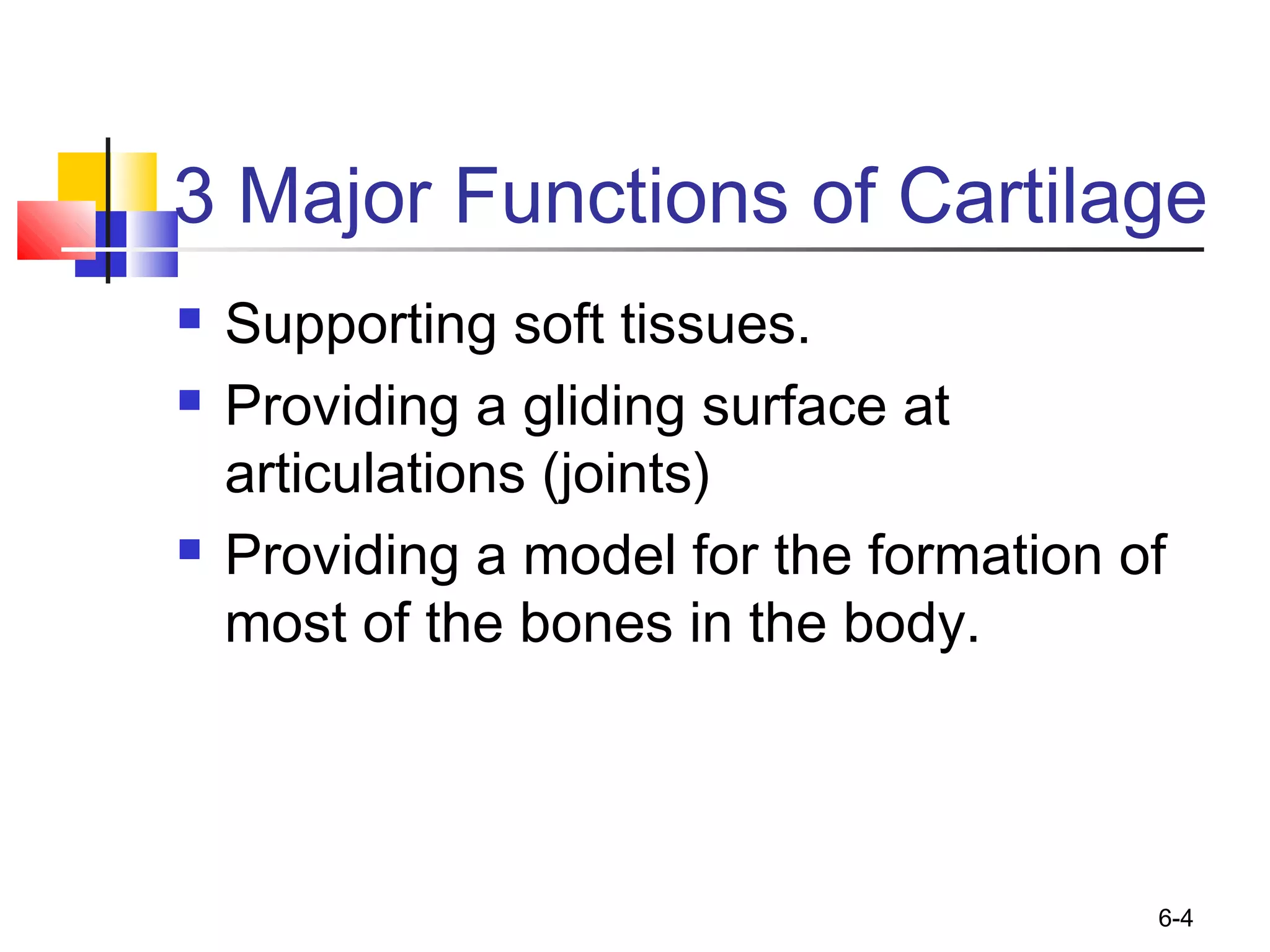 6-4
3 Major Functions of Cartilage
 Supporting soft tissues.
 Providing a gliding surface at
articulations (joints)
 Providing a model for the formation of
most of the bones in the body.
 