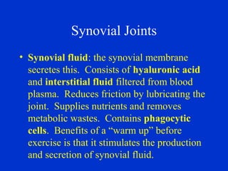 Synovial Joints
• Synovial fluid: the synovial membrane
secretes this. Consists of hyaluronic acid
and interstitial fluid filtered from blood
plasma. Reduces friction by lubricating the
joint. Supplies nutrients and removes
metabolic wastes. Contains phagocytic
cells. Benefits of a “warm up” before
exercise is that it stimulates the production
and secretion of synovial fluid.
 