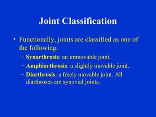 Joint Classification
• Functionally, joints are classified as one of
the following:
– Synarthrosis: an immovable joint.
– Amphiarthrosis: a slightly movable joint.
– Diarthrosis: a freely movable joint. All
diarthroses are synovial joints.
 