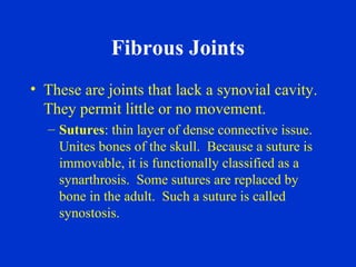 Fibrous Joints
• These are joints that lack a synovial cavity.
They permit little or no movement.
– Sutures: thin layer of dense connective issue.
Unites bones of the skull. Because a suture is
immovable, it is functionally classified as a
synarthrosis. Some sutures are replaced by
bone in the adult. Such a suture is called
synostosis.
 