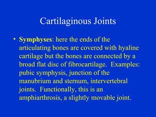 Cartilaginous Joints
• Symphyses: here the ends of the
articulating bones are covered with hyaline
cartilage but the bones are connected by a
broad flat disc of fibrocartilage. Examples:
pubic symphysis, junction of the
manubrium and sternum, intervertebral
joints. Functionally, this is an
amphiarthrosis, a slightly movable joint.
 