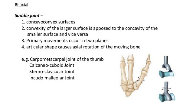 Joints