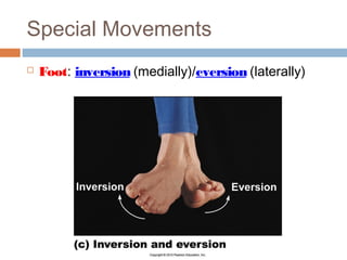 Anatomy & Physiology Lecture Notes - Joints | PPT