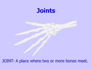 Joints
JOINT- A place where two or more bones meet.
 