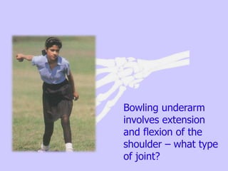 Bowling underarm
involves extension
and flexion of the
shoulder – what type
of joint?
 