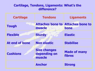Cartilage, Tendons, Ligaments: What’s the
difference?
Cartilage Tendons Ligaments
Tough
Attaches bone to
muscle
Attaches bone to
bone
Flexible Sturdy Elastic
At end of bone Non elastic Stabilise
Cushions
Size changes
depending on
muscle
Made of many
fibres
Anchor Strong
 