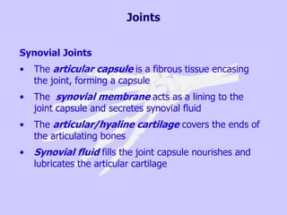 Joints
Synovial Joints
• The articular capsule is a fibrous tissue encasing
the joint, forming a capsule
• The synovial membrane acts as a lining to the
joint capsule and secretes synovial fluid
• The articular/hyaline cartilage covers the ends of
the articulating bones
• Synovial fluid fills the joint capsule nourishes and
lubricates the articular cartilage
 