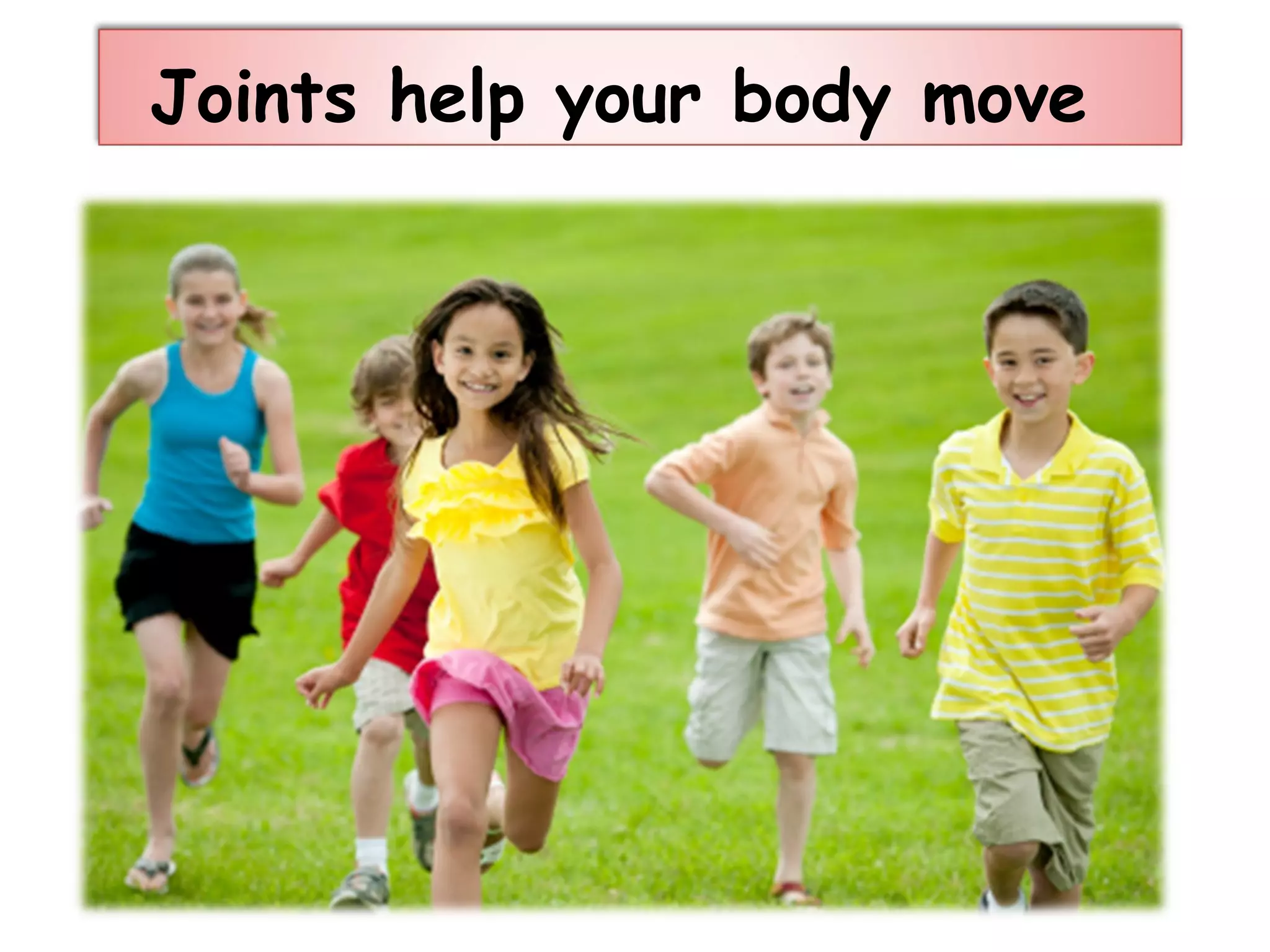 Joints help your body move