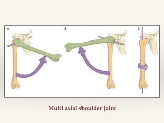 Classification of joints & joint mechanics | PDF
