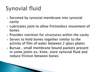  Secreted by synovial membrane into synovial
cavity
 Lubricates joint to allow frictionless movement of
bones
 Provides nutrition for structures within the cavity
 Serves to hold bones together similar to the
activity of film of water between 2 glass plates
 Bursae , small membrane bound packets present
in some joints ex. Knee, store synovial fluid and
reduce friction between bones
 