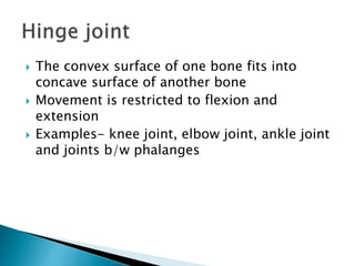  The convex surface of one bone fits into
concave surface of another bone
 Movement is restricted to flexion and
extension
 Examples- knee joint, elbow joint, ankle joint
and joints b/w phalanges
 