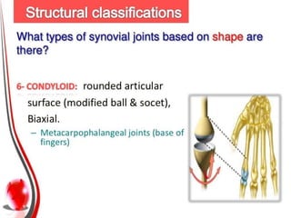 Os Multangular Joint Joints- presentation on joints. musculoskeletal system | PPTX