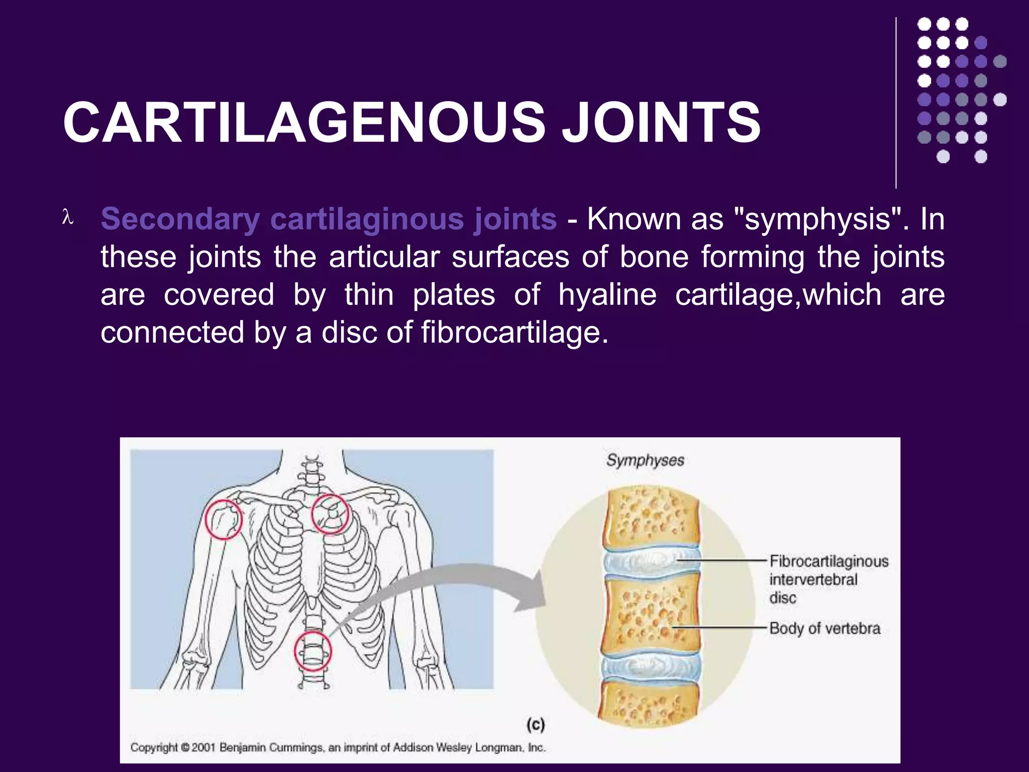 CARTILAGENOUS JOINTS
 Secondary cartilaginous joints - Known as "symphysis". In
these joints the articular surfaces of bone forming the joints
are covered by thin plates of hyaline cartilage,which are
connected by a disc of fibrocartilage.
 