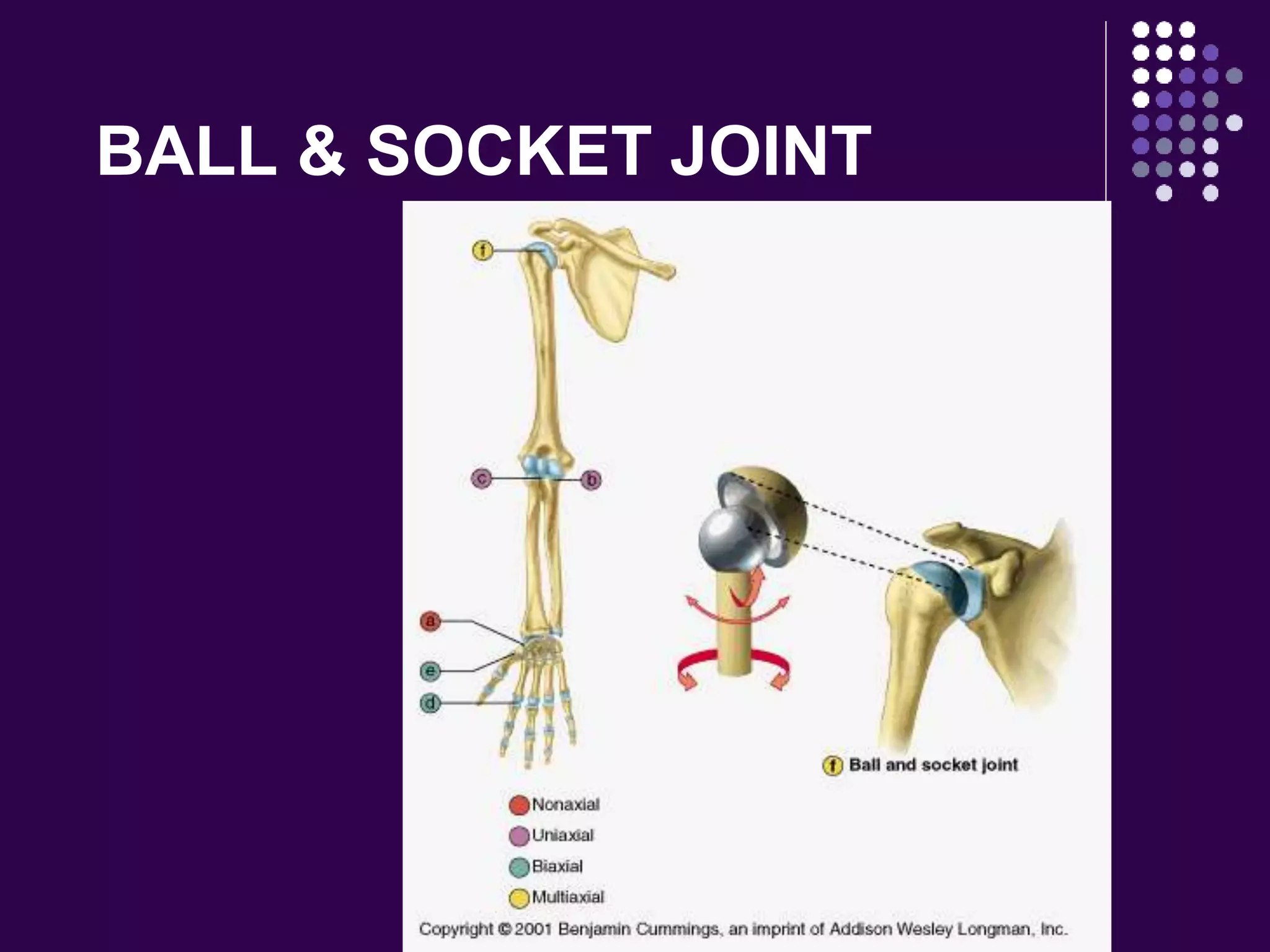 BALL & SOCKET JOINT
 