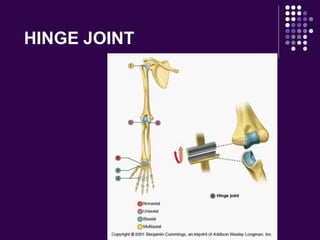 HINGE JOINT
 