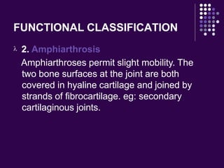 FUNCTIONAL CLASSIFICATION
 2. Amphiarthrosis
Amphiarthroses permit slight mobility. The
two bone surfaces at the joint are both
covered in hyaline cartilage and joined by
strands of fibrocartilage. eg: secondary
cartilaginous joints.
 