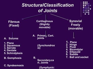 A. Sutures
1. Plane
2. Squamous
3. Serrate
4. Dentate
5. Schindylesis
B. Gomphosis
C. Syndesmosis
A. Primary. Cart.
joints
(Synchondros
is)
B.
Secondary.ca
rt. Joints
(Symphysis)
1. Plane
2. Hinge
3. Pivot
4. Bicondylar
5. Ellipsoid
6. Saddle
7. Ball and socket
Synovial
Freely
(movable)
Cartilaginous
(Slightly
movable)
Fibrous
(Fixed)
StructuralClassification
of Joints
 