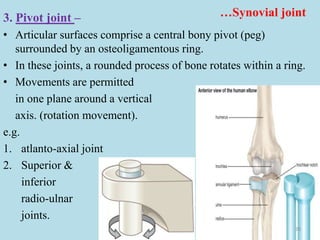 Joints (arthrology) | PPT