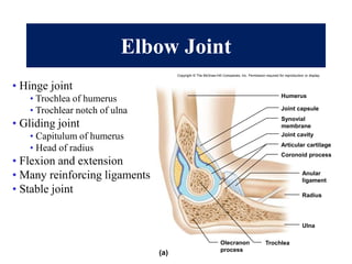 joints | PPT