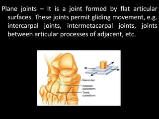 Plane joints – It is a joint formed by flat articular
surfaces. These joints permit gliding movement, e.g.
intercarpal joints, intermetacarpal joints, joints
between articular processes of adjacent, etc.
 
