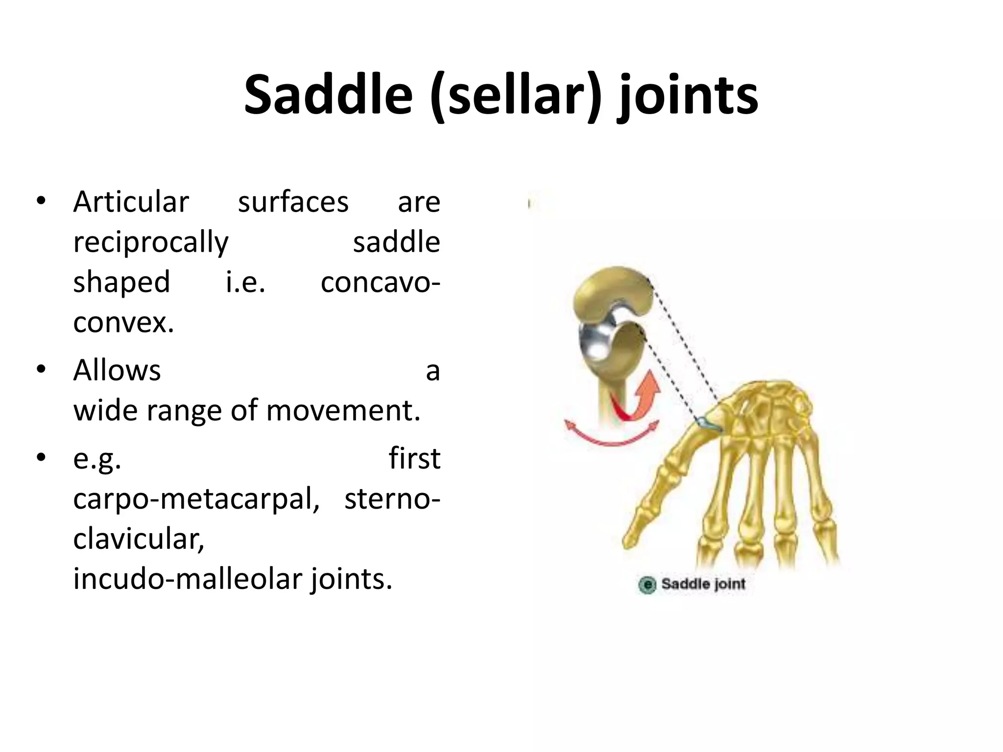 Saddle (sellar) joints
• Articular surfaces are
reciprocally saddle
shaped i.e. concavo-
convex.
• Allows a
wide range of movement.
• e.g. first
carpo-metacarpal, sterno-
clavicular,
incudo-malleolar joints.
 
