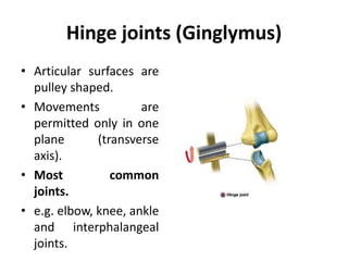 Joints ppt