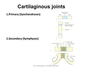 Cartilaginous joints
1.Primary (Synchondroses)
2.Secondary (Symphyses)
BY K.SANJAIDAS, PHYSIOTHERAPIST
 