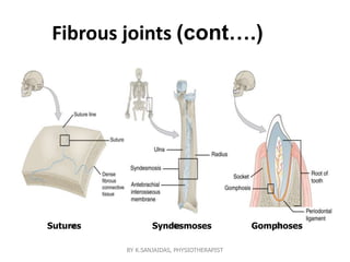 Fibrous joints (cont….)
Sutures Syndesmoses Gomphoses
BY K.SANJAIDAS, PHYSIOTHERAPIST
 