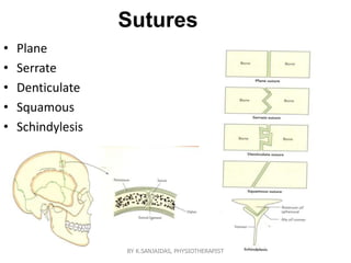 Sutures
• Plane
• Serrate
• Denticulate
• Squamous
• Schindylesis
BY K.SANJAIDAS, PHYSIOTHERAPIST
 