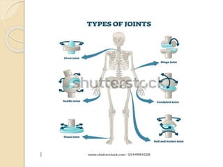 joints.pdf