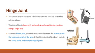 Hinge Joint Example Structures JOINTS.pptx