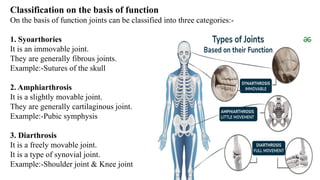 Classification on the basis of function
On the basis of function joints can be classified into three categories:-
1. Syoarthories
It is an immovable joint.
They are generally fibrous joints.
Example:-Sutures of the skull
2. Amphiarthrosis
It is a slightly movable joint.
They are generally cartilaginous joint.
Example:-Pubic symphysis
3. Diarthrosis
It is a freely movable joint.
It is a type of synovial joint.
Example:-Shoulder joint & Knee joint
 