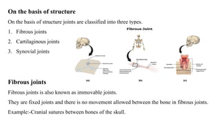 On the basis of structure
On the basis of structure joints are classified into three types.
1. Fibrous joints
2. Cartilaginous joints
3. Synovial joints
Fibrous joints
Fibrous joints is also known as immovable joints.
They are fixed joints and there is no movement allowed between the bone in fibrous joints.
Example:-Cranial sutures between bones of the skull.
 