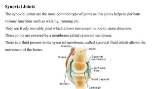 Synovial Joints
The synovial joints are the most common type of joints as this joints helps to perform
various functions such as walking, running etc.
They are freely movable joint which allows movement in one or more direction.
These joints are covered by a membrane called synovial membrane.
There is a fluid present in the synovial membrane, called synovial fluid which allows the
movement of the bones.
 